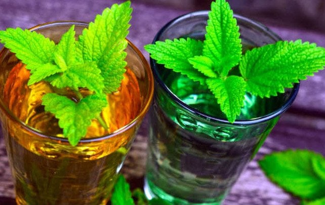 Canela y menta para la líbido