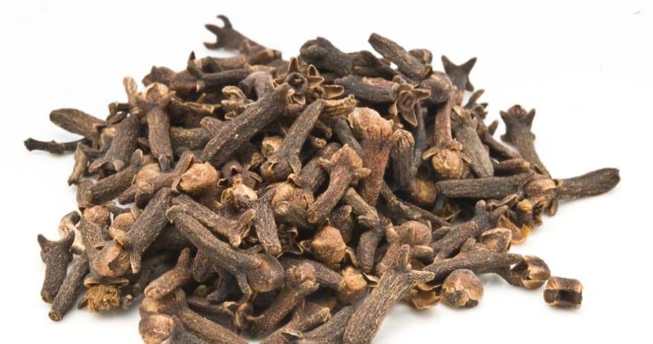 clavo de olor
