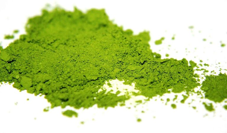 Té verde japonés matcha