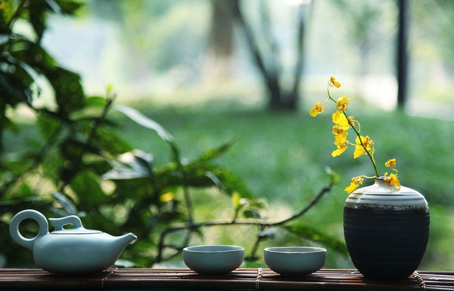 Té oolong beneficios y propiedades